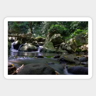 small waterfall in forest Sticker
